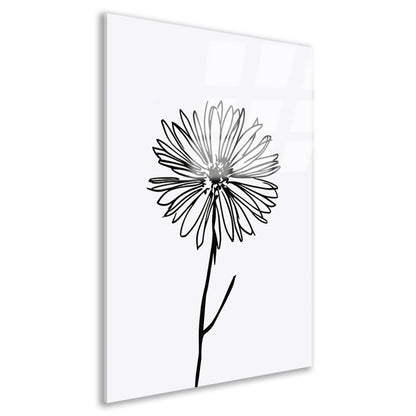 Minimalistische Bloem in Lijntekening Zwart Wit acrylglas