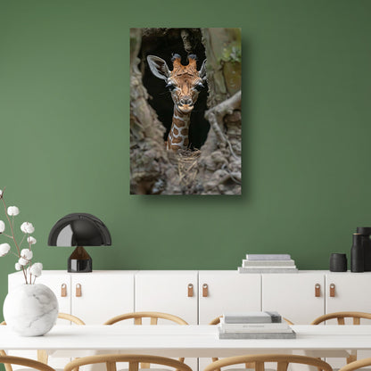 Jonge giraf verkent de wereld canvas