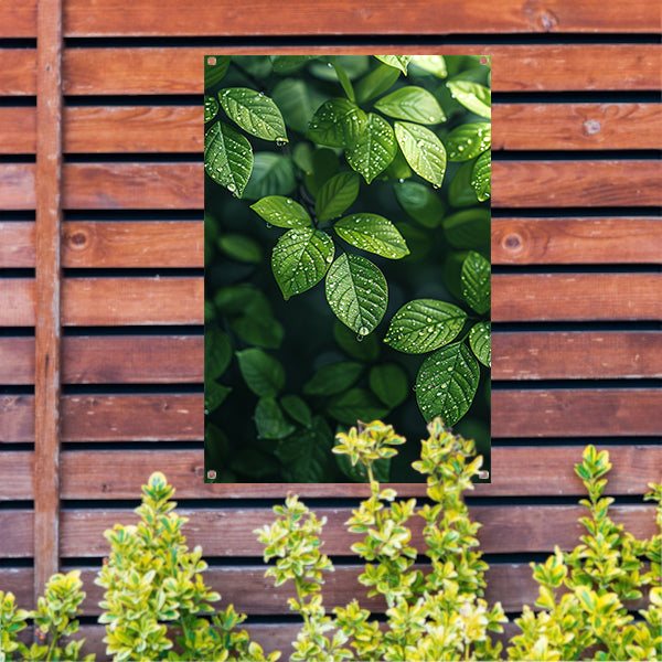 Glinsterende dauwdruppels op groene bladeren tuinposter