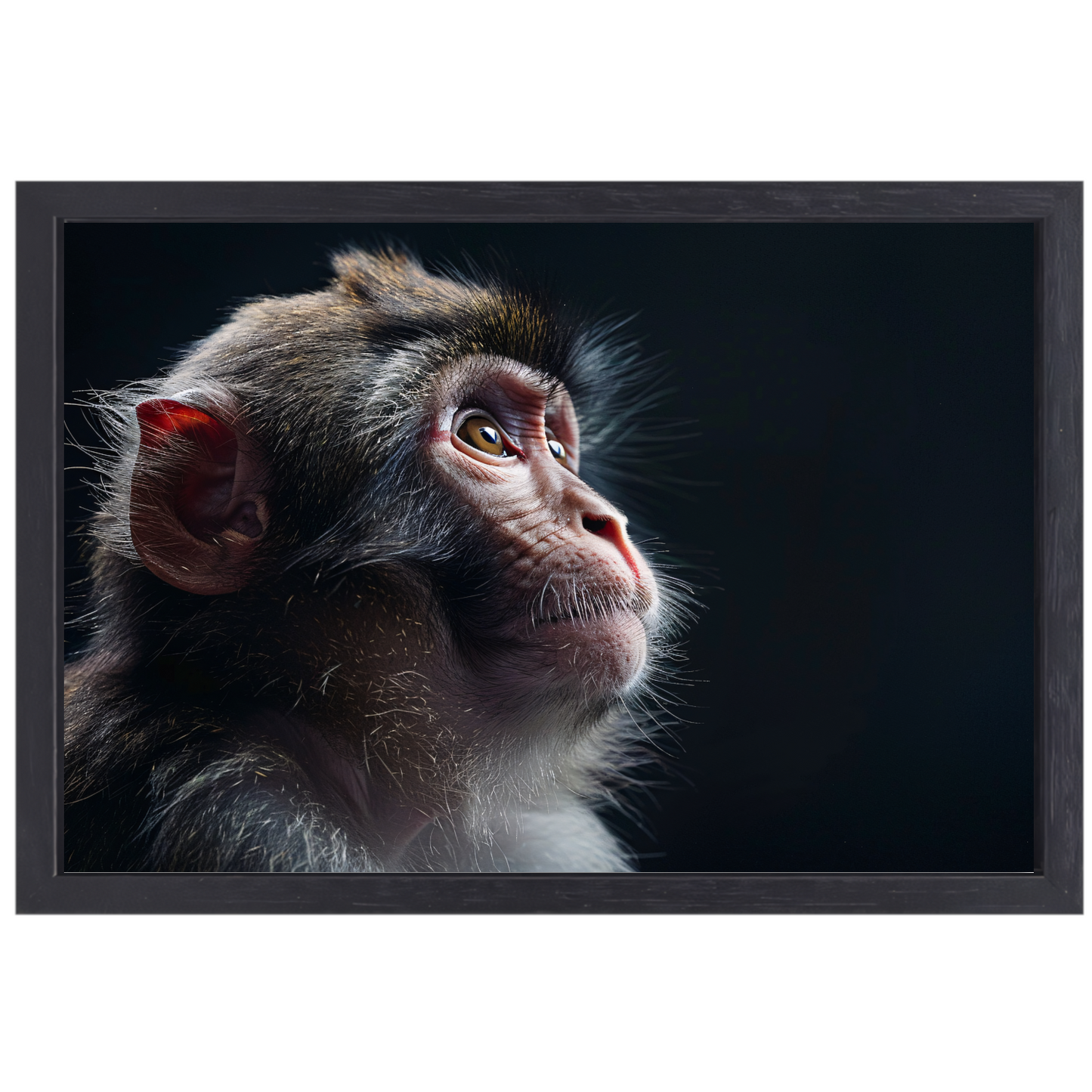 Reflectieve Blik van een Aap in het Duister canvas met baklijst