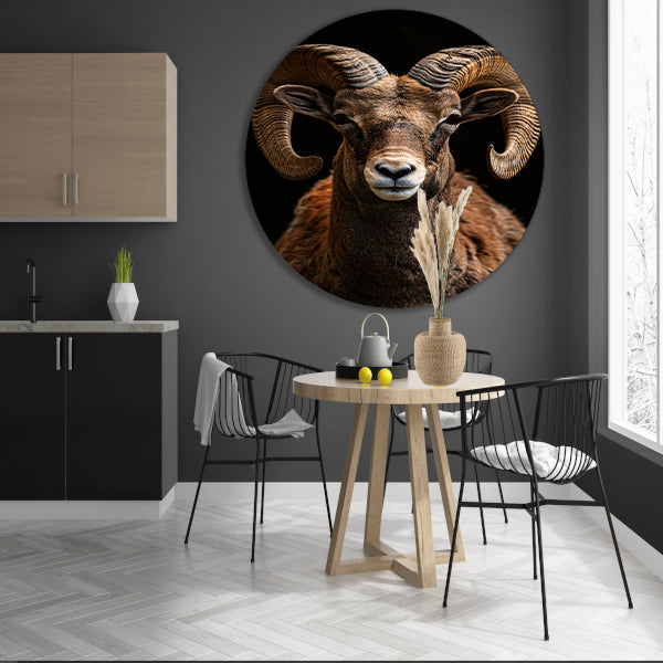 Indrukwekkende Ram met Elegante Krullende Hoorns aluminium muurcirkel