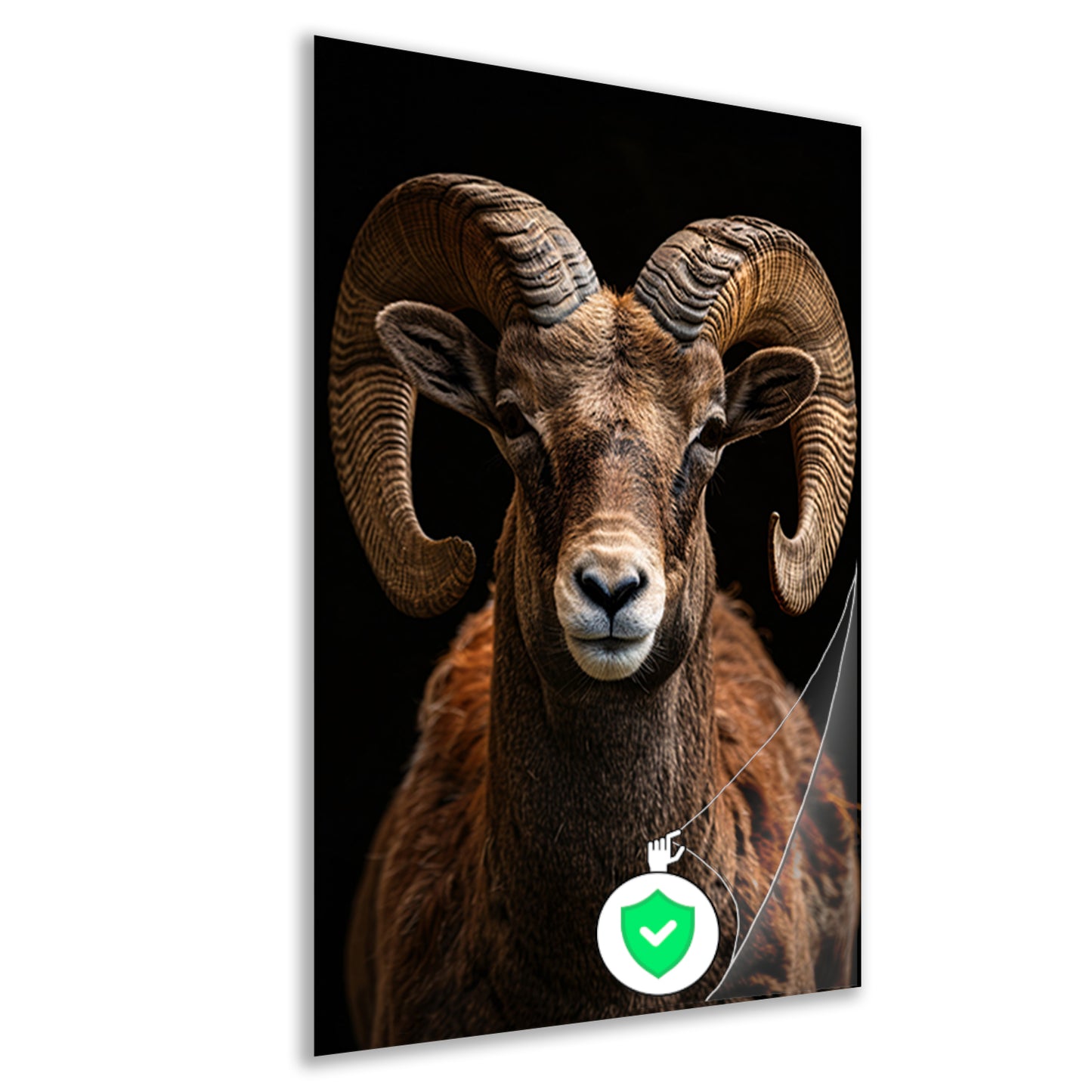 Indrukwekkende Ram met Elegante Krullende Hoorns poster