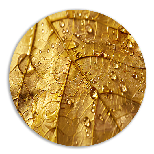 Gouden herfstblad met dauwdruppels close-up aluminium muurcirkel