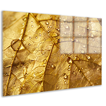 Gouden herfstblad met dauwdruppels close-up acrylglas
