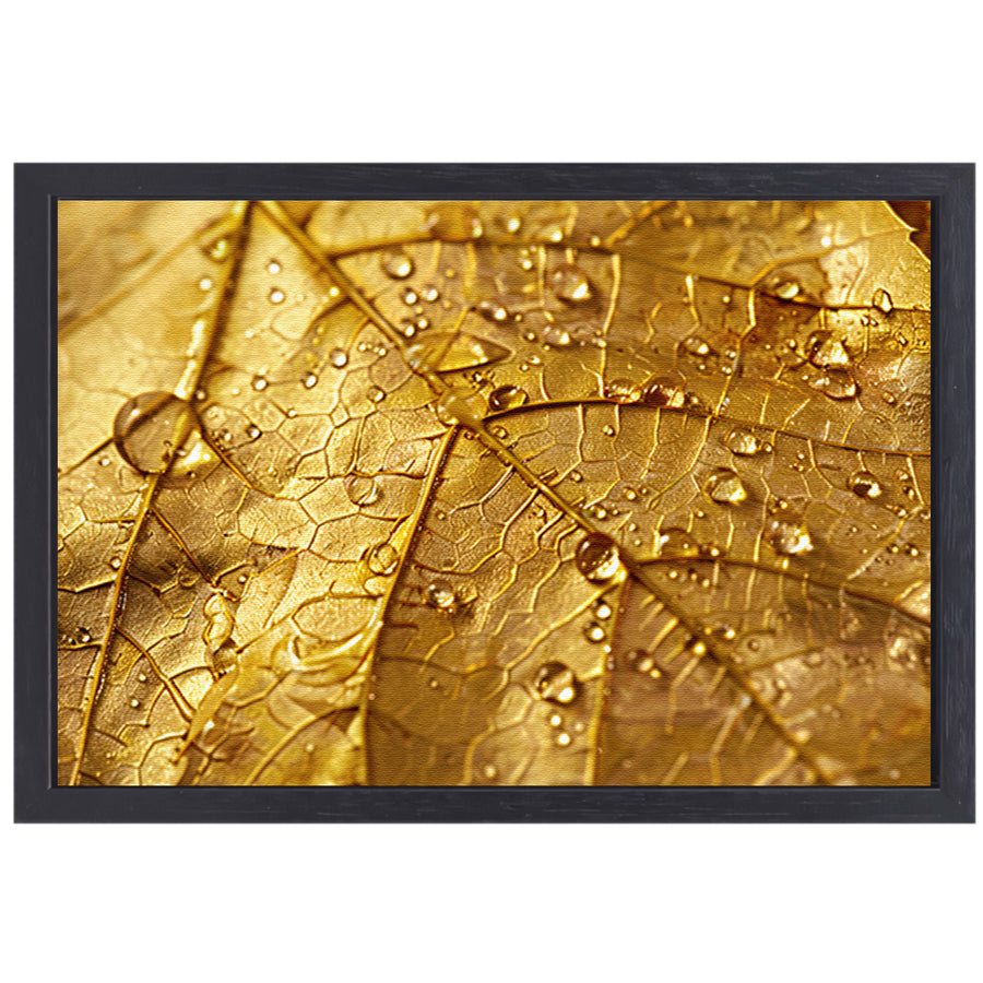 Gouden herfstblad met dauwdruppels close-up canvas met baklijst
