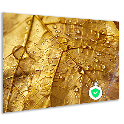 Gouden herfstblad met dauwdruppels close-up poster