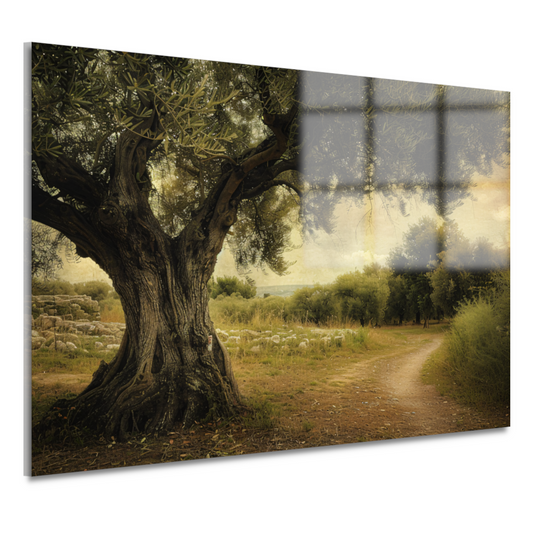 Eenzame boom op landweg acrylglas