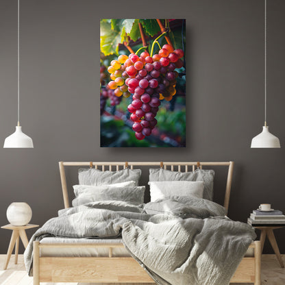 Rijpe druiven aan de wijnstok in de zon canvas