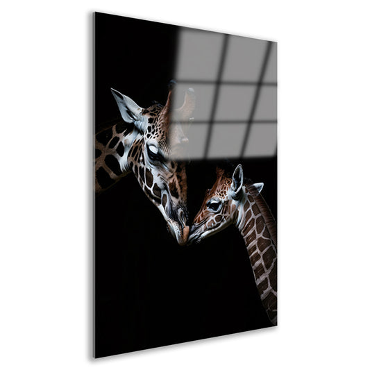Zwart-wit kunstwerk van nuzzelende giraffen acrylglas