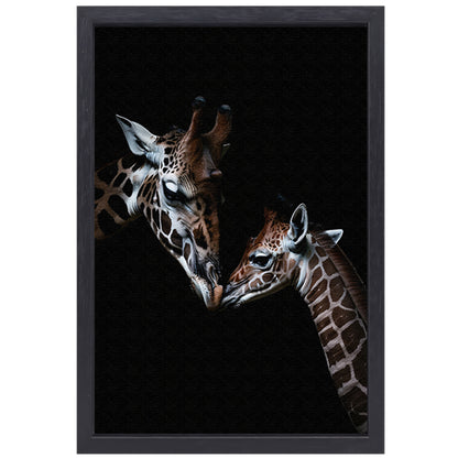 Zwart-wit kunstwerk van nuzzelende giraffen canvas met baklijst