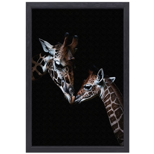 Zwart-wit kunstwerk van nuzzelende giraffen canvas met baklijst