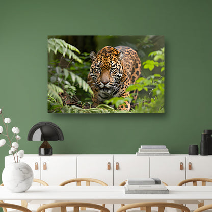 Jaguar sluipt door het regenwoudcanvas