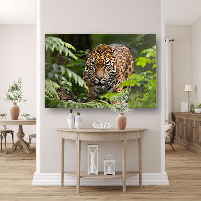 Jaguar sluipt door het regenwoudcanvas