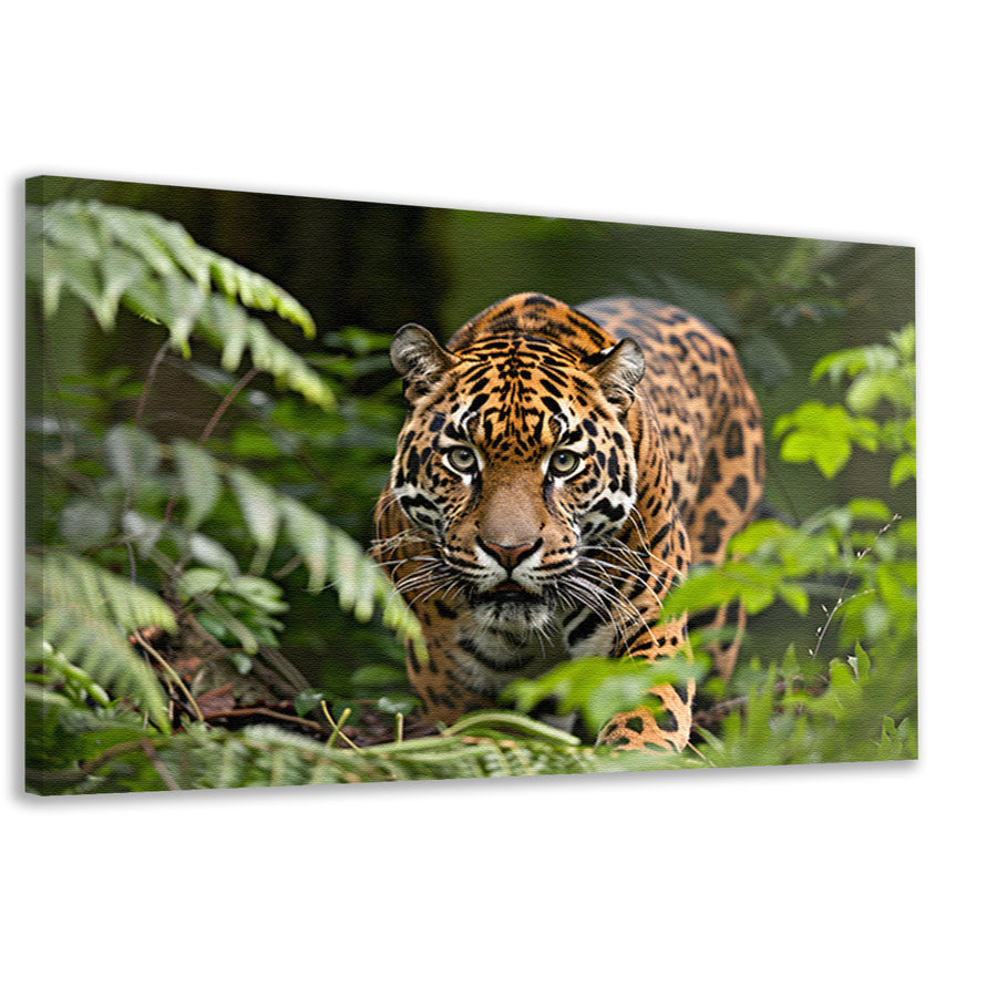 Jaguar sluipt door het regenwoud canvas