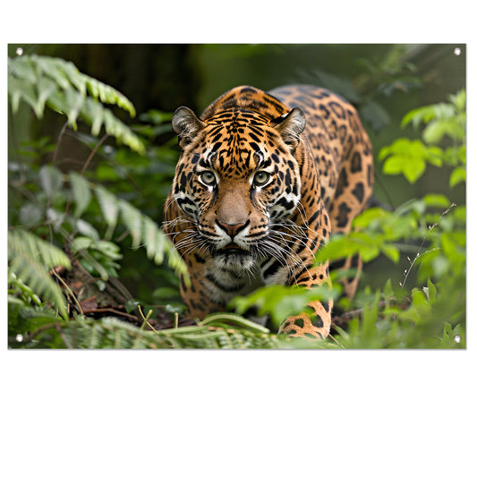 Jaguar sluipt door het regenwoud tuinposter