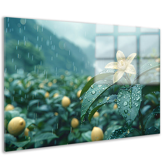 Gele narcis op groene stengel acrylglas