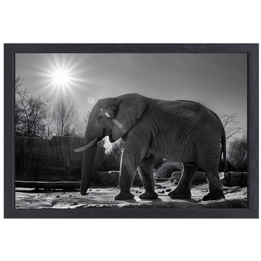 Olifant in Afrikaans landschap canvas met baklijst