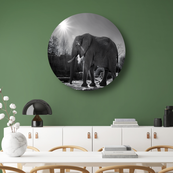 Olifant in Afrikaans landschap forex muurcirkel