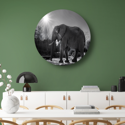 Olifant in Afrikaans landschap forex muurcirkel