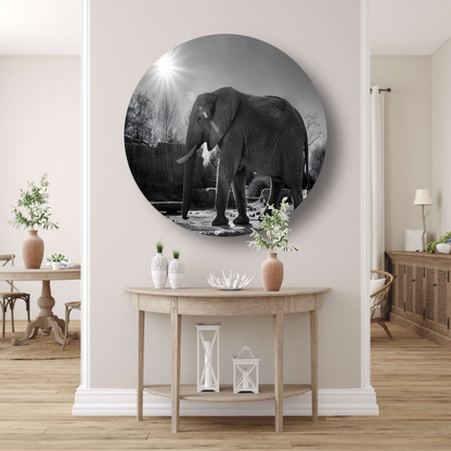 Olifant in Afrikaans landschap forex muurcirkel