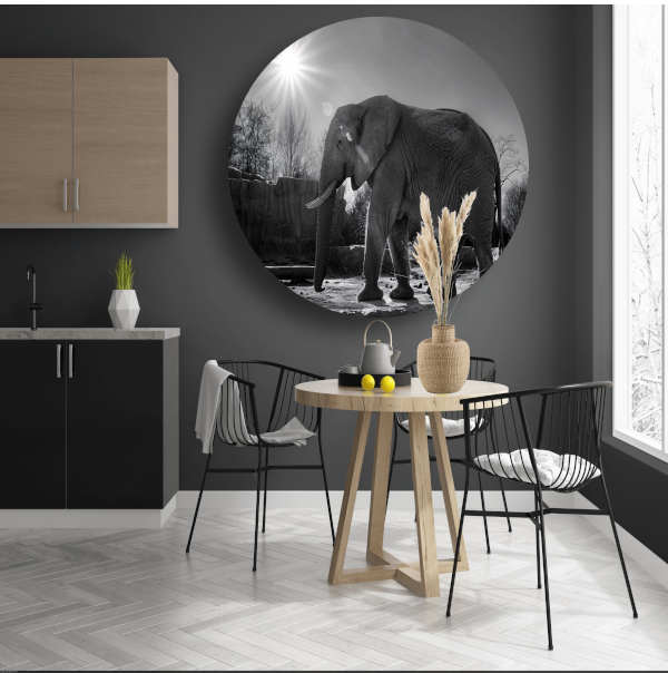 Olifant in Afrikaans landschap forex muurcirkel