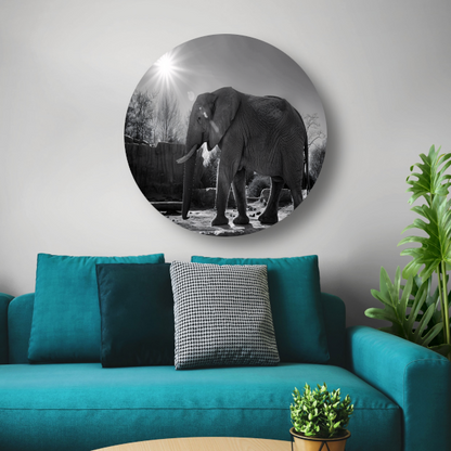 Olifant in Afrikaans landschap forex muurcirkel