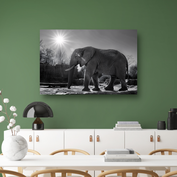 Olifant in Afrikaans landschap canvas