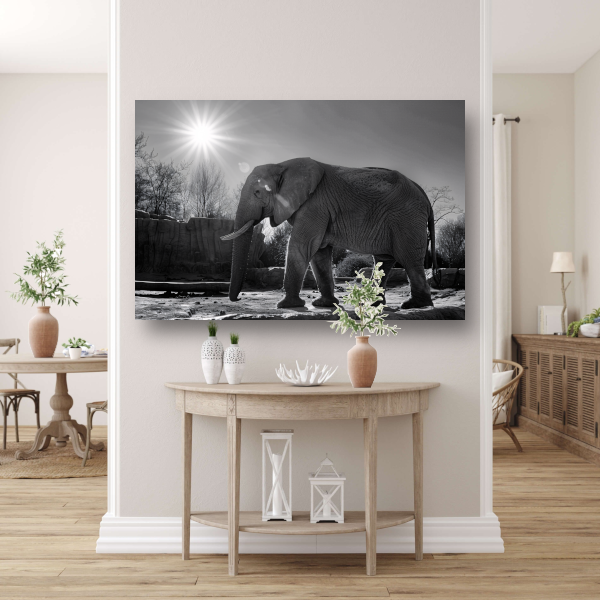 Olifant in Afrikaans landschap canvas