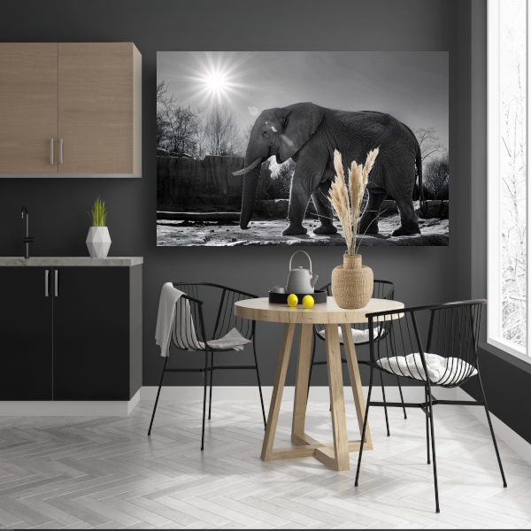 Olifant in Afrikaans landschap canvas