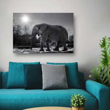 Olifant in Afrikaans landschap canvas