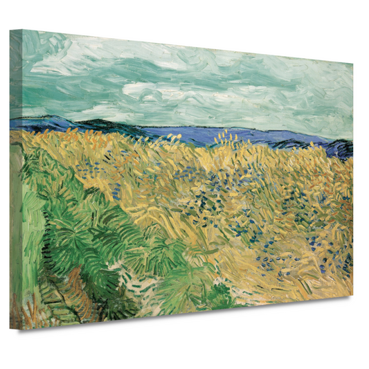 Tarweveld Met Korenbloemen - Vincent van Gogh canvas