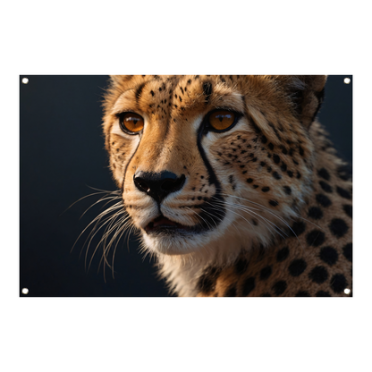 Intense blik van een rustende cheeta tuinposter