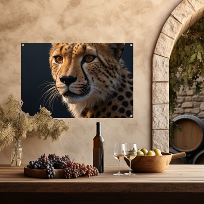 Intense blik van een rustende cheeta tuinposter
