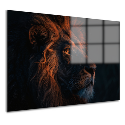 Leeuw in Schemerlicht met Gouden Manen acrylglas