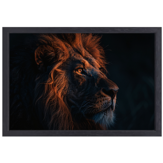Leeuw in Schemerlicht met Gouden Manen canvas met baklijst
