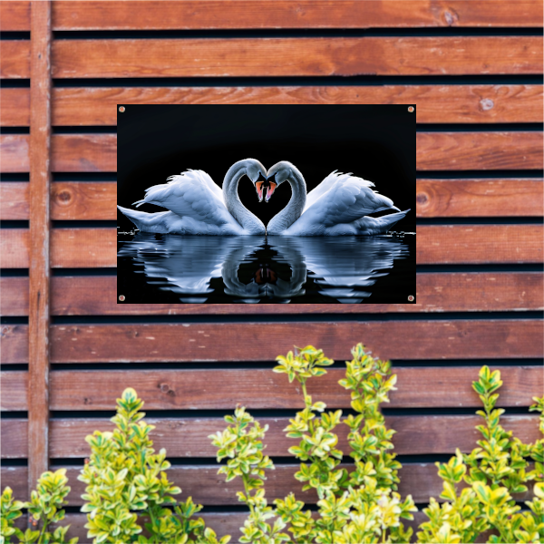Twee zwanen vormen hart op water tuinposter