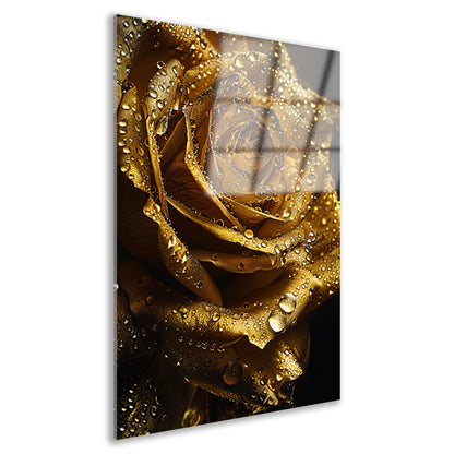 Gouden roos met fonkelende waterdruppels close-up acrylglas