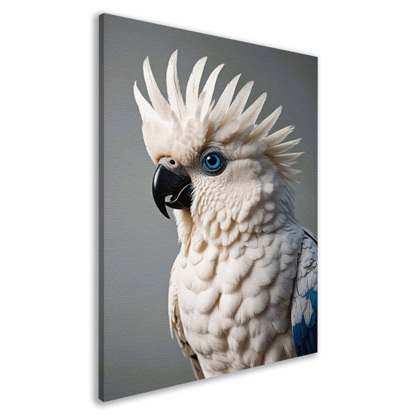 De Blik van een Blauwogige Kaketoe canvas