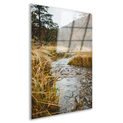 Kabbelend beekje omgeven door herfstgras acrylglas