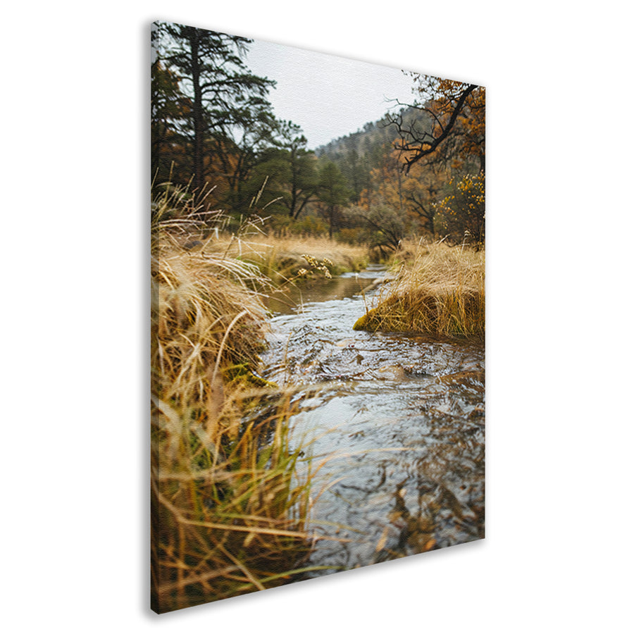 Kabbelend beekje omgeven door herfstgras canvas
