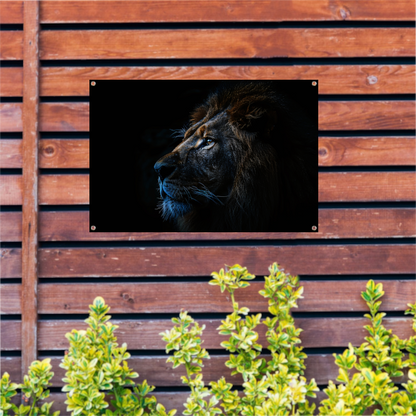 De stille majesteit van de nachtelijke leeuw tuinposter