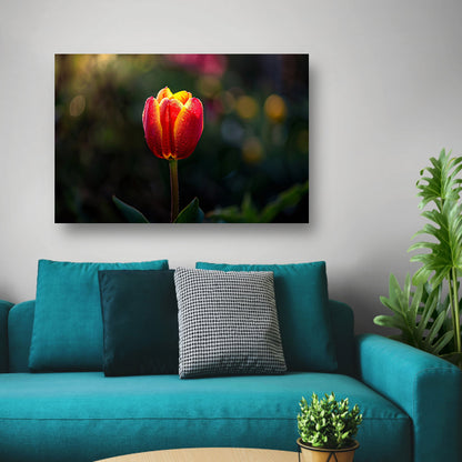 Close-up van tulp met dauwdruppels canvas