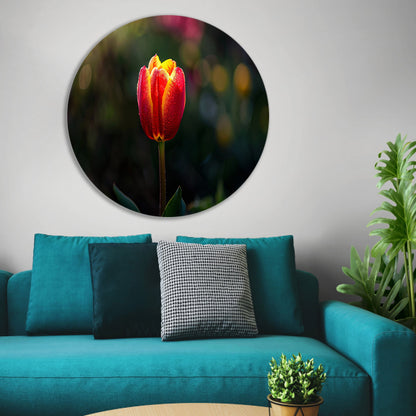 Close-up van tulp met dauwdruppels forex muurcirkel