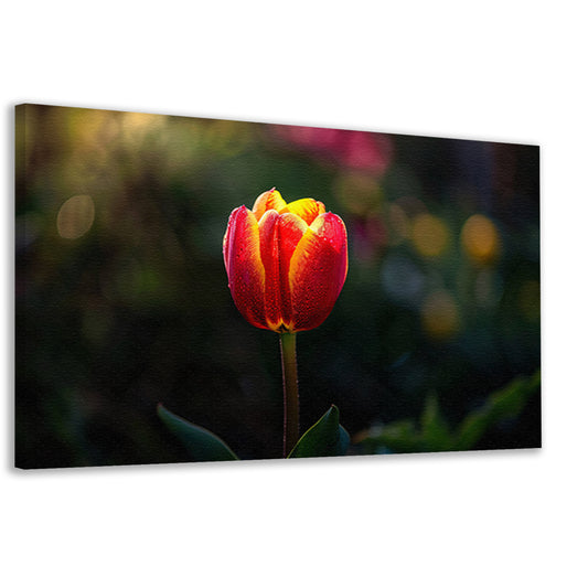 Close-up van tulp met dauwdruppels canvas