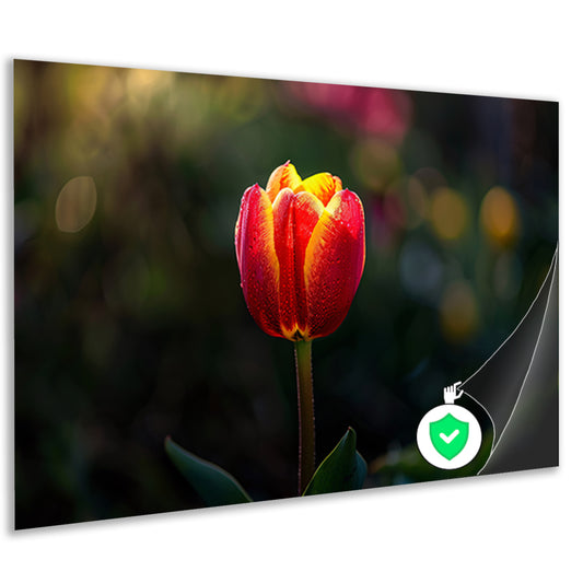 Close-up van tulp met dauwdruppels poster