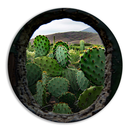 Cactussen door Houten Gat aluminium muurcirkel