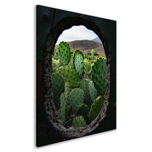 Cactussen door Houten Gat canvas
