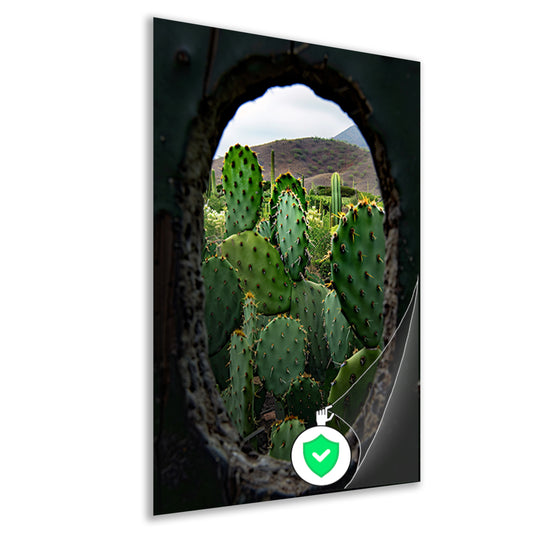 Cactussen door Houten Gat poster