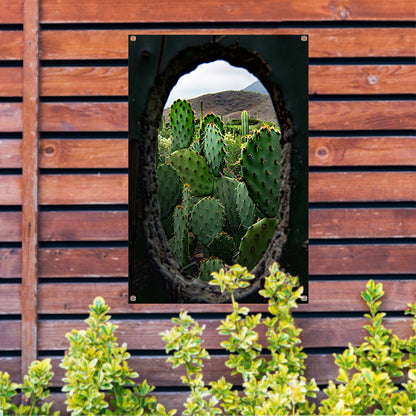 Cactussen door Houten Gat tuinposter