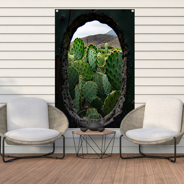 Cactussen door Houten Gat tuinposter